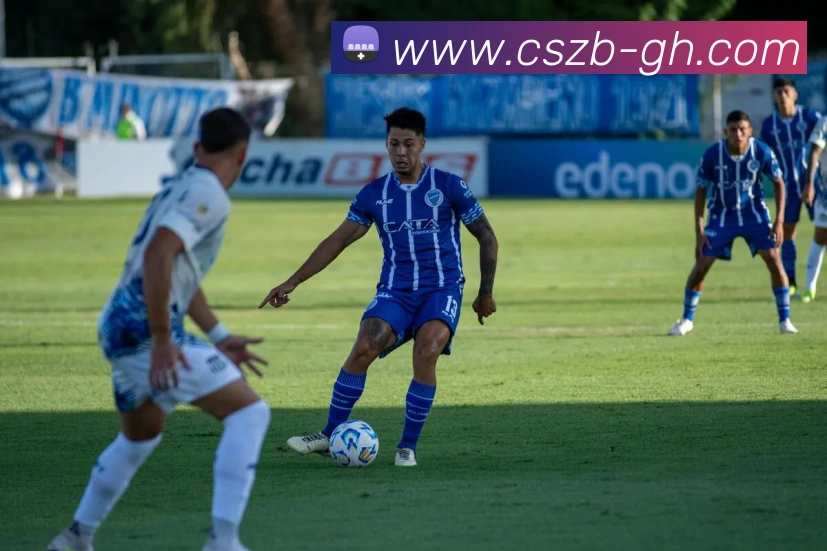 彩神争霸平台生态图